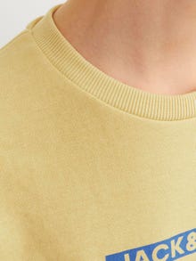 Jack & Jones Printed Crew neck Sweatshirt For boys -Jojoba - 12255504