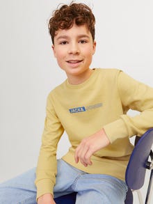 Jack & Jones Junior Painettu Svetari -Jojoba - 12255504
