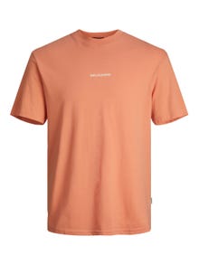 Jack & Jones T-shirt Imprimé Col rond -Canyon Sunset - 12255525
