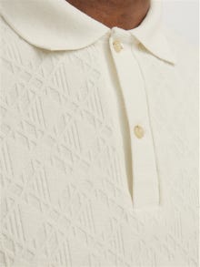 Jack & Jones Enfärgat Polo T-shirt -White Onyx - 12255616