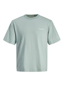 Jack & Jones Printed Crew neck T-shirt -Gray Mist - 12256258