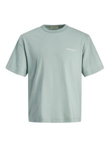 Jack & Jones T-shirt Estampar Decote Redondo -Gray Mist - 12256258