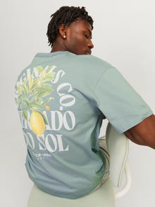 Jack & Jones T-shirt Estampar Decote Redondo -Gray Mist - 12256258
