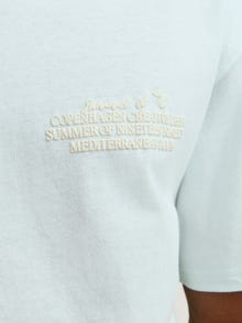 Jack & Jones Printed Crew neck T-shirt -Skylight - 12256289