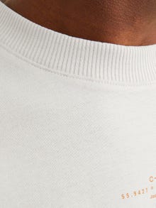 Jack & Jones T-shirt Estampar Decote Redondo -Moonbeam - 12256364