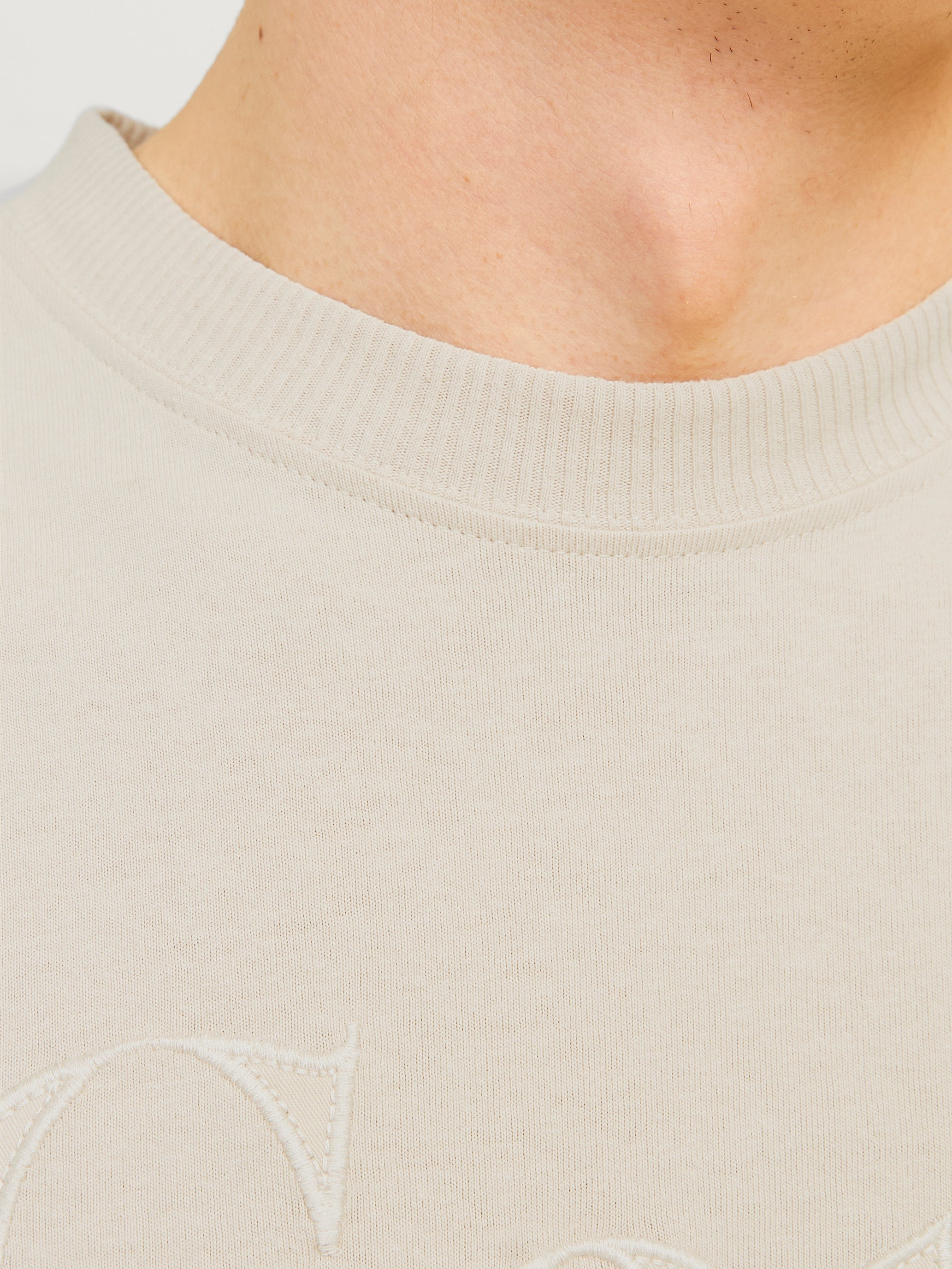 Jack & Jones Printed Crew neck T-shirt -Moonbeam - 12256401