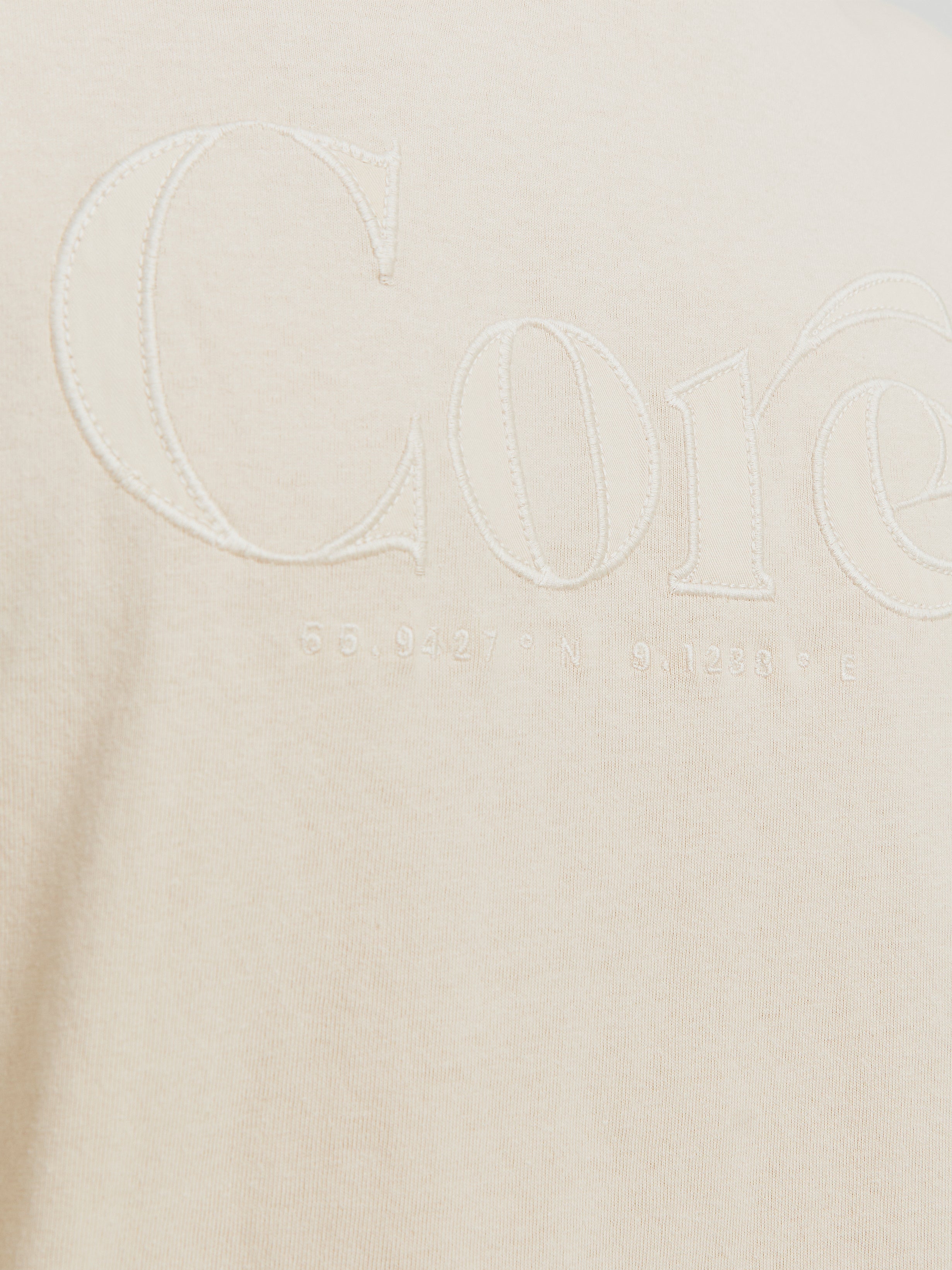 Jack & Jones Printed Crew neck T-shirt -Moonbeam - 12256401