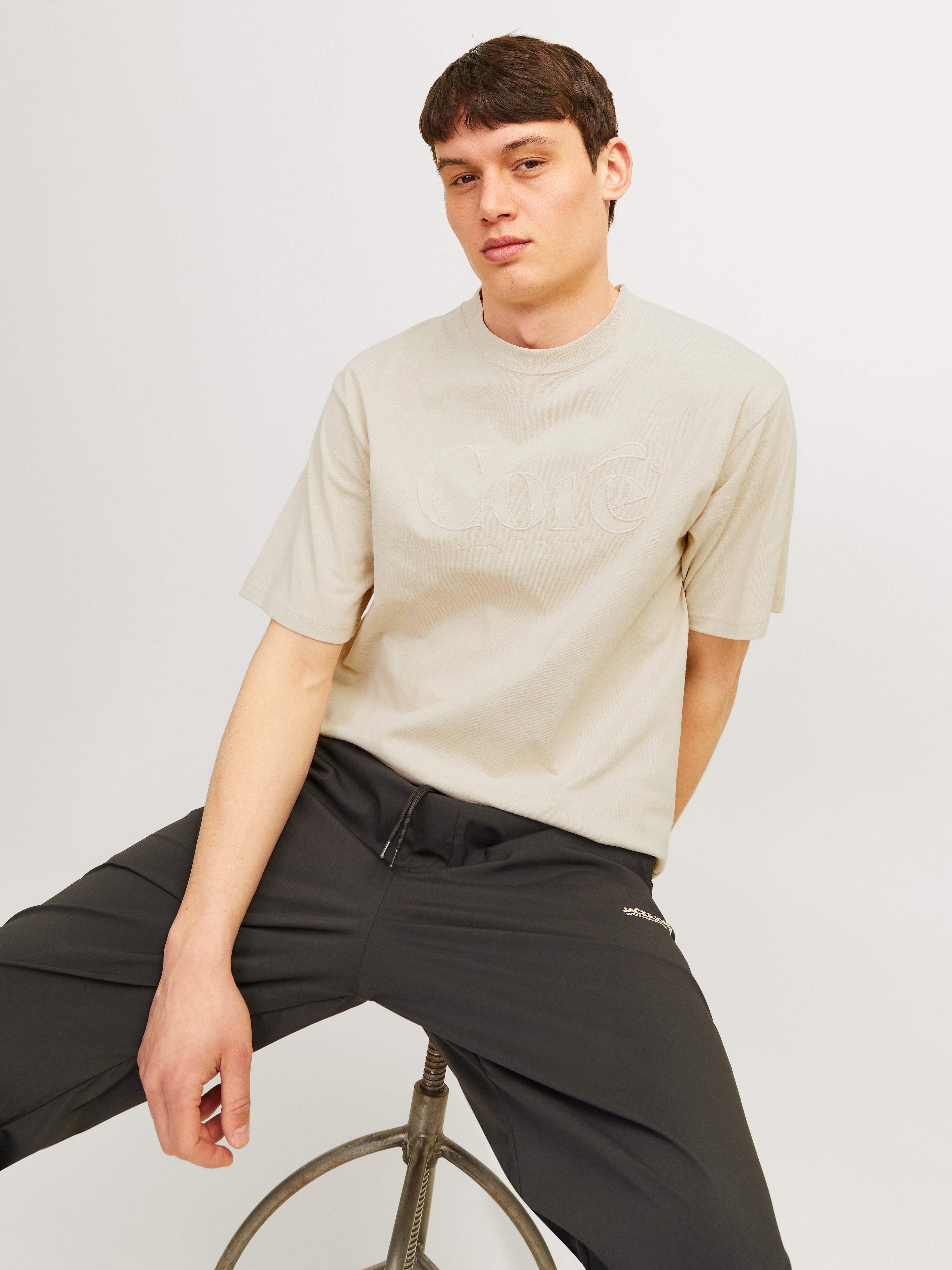 Jack & Jones Printed Crew neck T-shirt -Moonbeam - 12256401