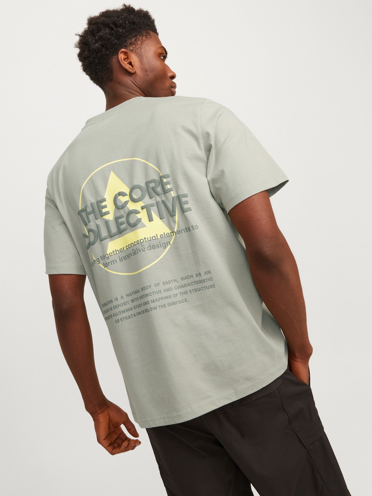 Jack & Jones Printet Crew neck T-shirt -Desert Sage - 12256407