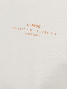 Jack & Jones Bedrukt Ronde hals T-shirt -Moonbeam - 12256407