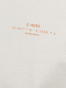 Jack & Jones Gedrukt Ronde hals T-shirt -Moonbeam - 12256407