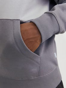 Jack & Jones Sweat à capuche Logo -Castlerock - 12256590