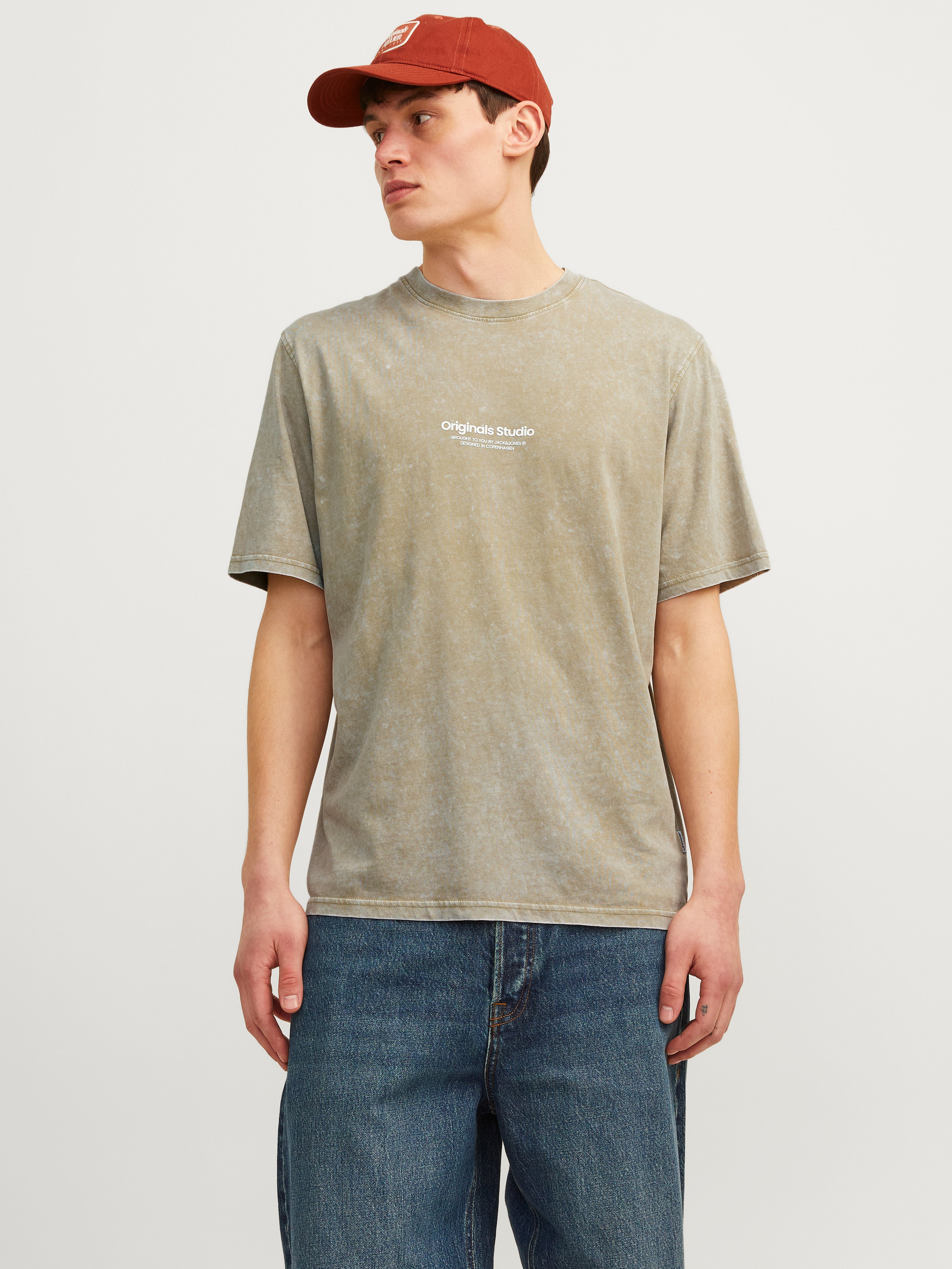 Jack & Jones Printed Crew neck T-shirt -Silver Sage - 12256715