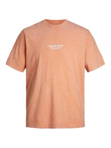 Jack & Jones Printed Crew neck T-shirt -Canyon Sunset - 12256715