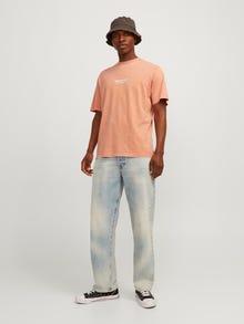 Jack & Jones Bedrukt Ronde hals T-shirt -Canyon Sunset - 12256715