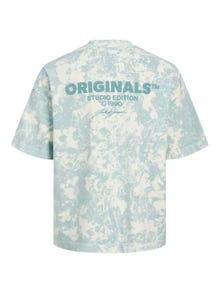 Jack & Jones T-shirt Estampar Decote Redondo -Gray Mist - 12256716