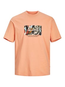 Jack & Jones Bedrukt Ronde hals T-shirt -Canyon Sunset - 12256717