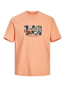 Jack & Jones Gedruckt Rundhals T-shirt -Canyon Sunset - 12256717