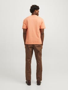 Jack & Jones Trükitud Ümmargune kaelus T-särk -Canyon Sunset - 12256717