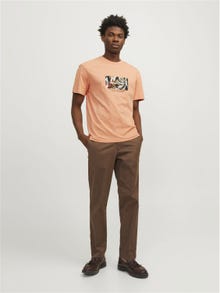 Jack & Jones Bedrukt Ronde hals T-shirt -Canyon Sunset - 12256717