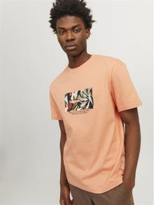 Jack & Jones Printed Crew neck T-shirt -Canyon Sunset - 12256717