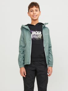 Jack & Jones Eszőkabát Mini -Laurel Wreath - 12256763