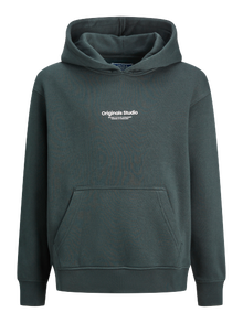Jack & Jones Spausdintas raštas Džemperis Mini -Forest River - 12256770