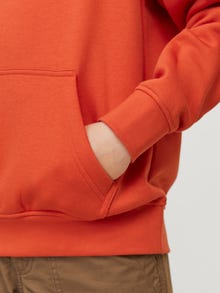 Jack & Jones Hoodie Estampar Mini -Summer Fig - 12256770