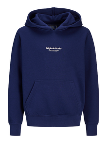 Jack & Jones Spausdintas raštas Džemperis Mini -Ocean Cavern - 12256770