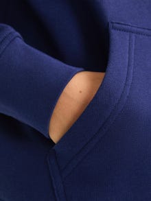 Jack & Jones Spausdintas raštas Džemperis Mini -Ocean Cavern - 12256770