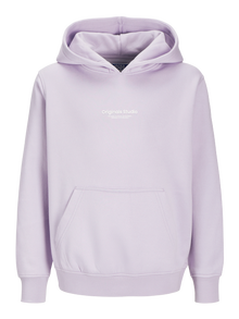 Jack & Jones Spausdintas raštas Džemperis Mini -Cosmic Sky - 12256770