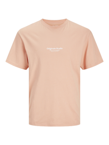Jack & Jones Spausdintas raštas Marškinėliai Mini -Canyon Sunset - 12256817