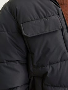 Jack & Jones Chaqueta corta acolchada -Black - 12256858