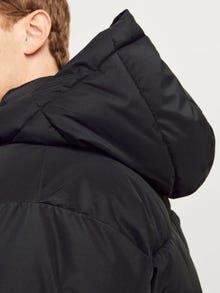 Jack & Jones Chaqueta corta acolchada -Black - 12256858