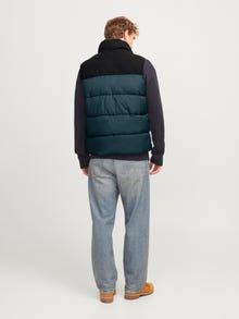 Jack & Jones Adoptez le look - 1908202545