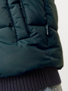 Jack & Jones Adoptez le look - 1908202545