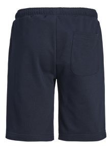 Jack & Jones Laisvas kirpimas Sportiniai šortai Mini -Sky Captain - 12256883