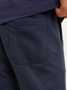 Jack & Jones Avar lõige Mini Lühikesed püksid -Sky Captain - 12256883