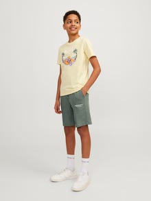 Jack & Jones Avar lõige Mini Lühikesed püksid -Laurel Wreath - 12256883