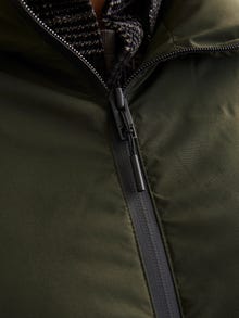 Jack & Jones Consigue el look - 1908203137