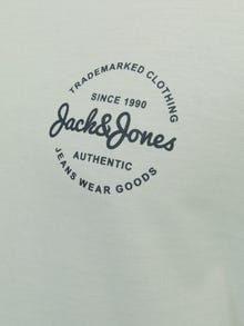 Jack & Jones Plus 3-balení Potištěný Tričko -White - 12256944