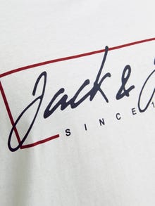 Jack & Jones Plus 2-pakk Trükitud T-särk -Navy Blazer - 12256958