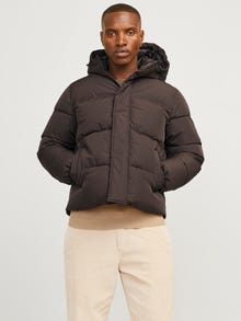 Jack & Jones Kurtka puchowa -Mulch - 12256974