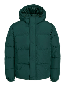 Jack & Jones Consigue el look - 1908202512