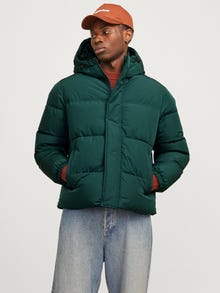 Jack & Jones Consigue el look - 1908202512