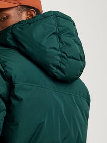 Jack & Jones Consigue el look - 1908202512