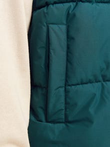 Jack & Jones Puffer gilet -Magical Forest - 12256981