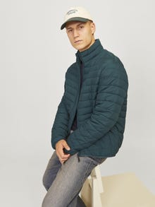 Jack & Jones Adoptez le look - 1904204013