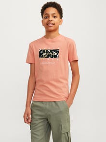 Jack & Jones Gedrukt T-shirt Voor jongens -Canyon Sunset - 12257133