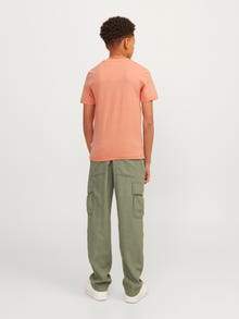 Jack & Jones Poikien Painettu T-paita -Canyon Sunset - 12257133